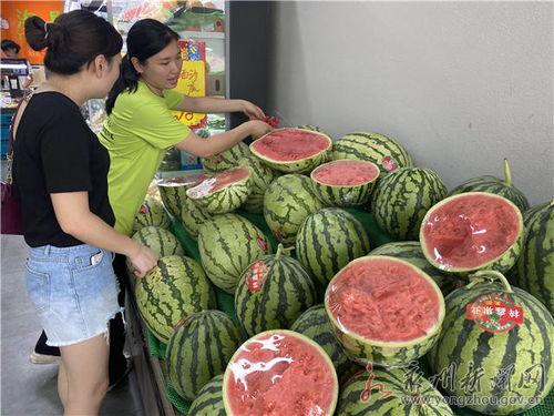 麒麟瓜今日价格宁夏,市场行情一览”