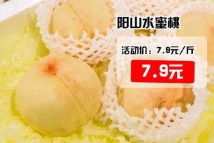 小蜜瓜今日价格行情,今日市场动态一览