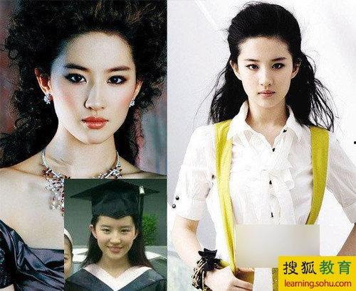 明星网红时代照片大全集,明星网红时代照片大全集掠影