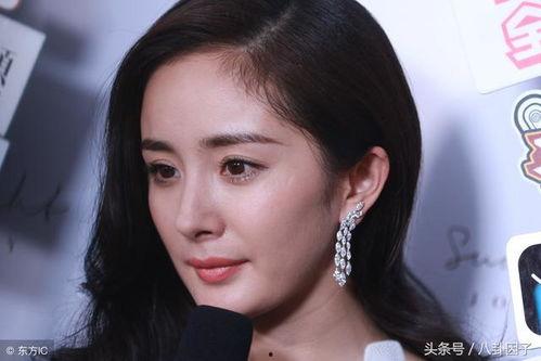 明星网红的偏见有哪些,网络舆论背后的真相与反思