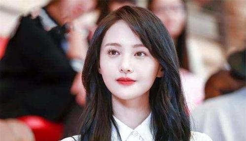 梅州明星网红排名榜,揭秘梅州明星网红的璀璨星光