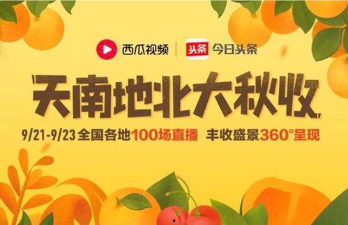 今日宜扭蛋的瓜