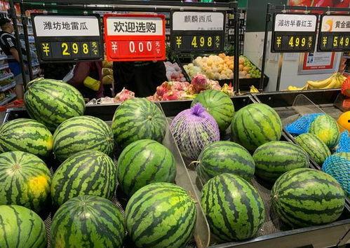 今日宜扭蛋的瓜