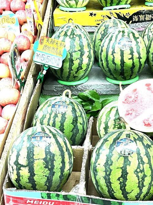 2024麒麟瓜今日价格行情