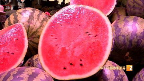 2024麒麟瓜今日价格行情