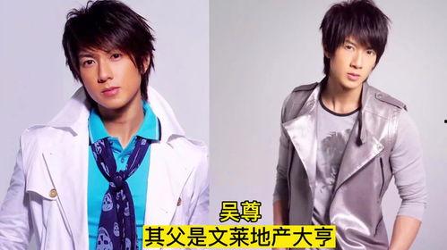 老外分辨明星网红视频,老外如何通过视频识别明星网红