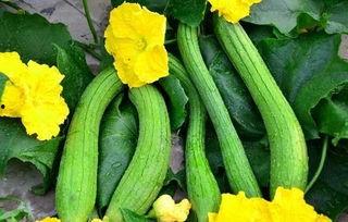 今日吃瓜必吃大瓜,揭秘娱乐圈最新重磅事件