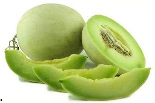 今日瓜价香瓜熟了,今日瓜价行情一览