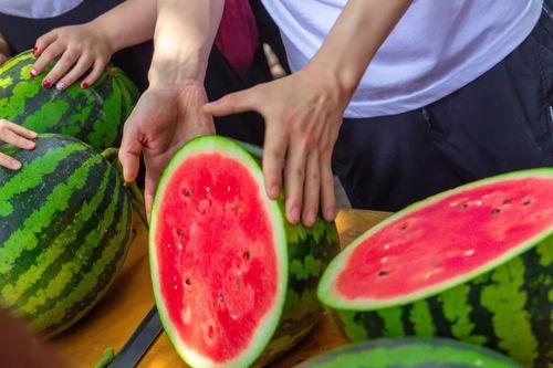 临海今日吃瓜,吃瓜群众聚焦热点事件