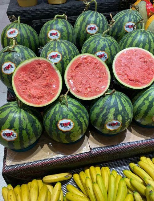 瓜田今日吃瓜人人吃瓜,全民吃瓜，娱乐至上