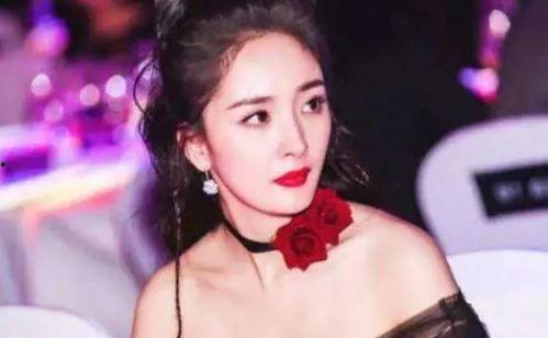 明星网红打广告视频大全,创意无限，带货力MAX