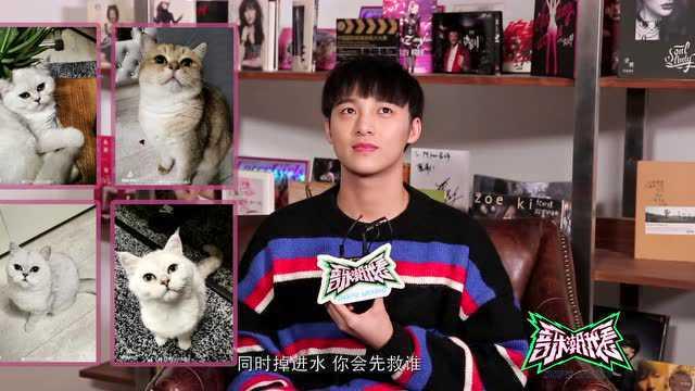 猴哥和明星网红视频,明星视频新潮流