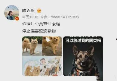 明星网红纷纷为狗发声,为狗狗权益发声，温暖守护动物界