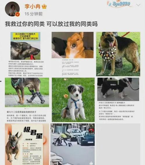 明星网红纷纷为狗发声,为狗狗权益发声，温暖守护动物界