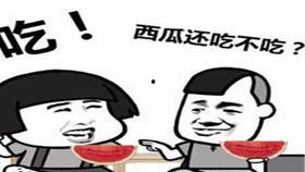 瓜农今日吃瓜 小说,一场别开生面的乡村奇遇