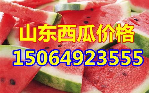 今日头瓜收购价格多少钱,XX元/斤，市场行情稳中向好