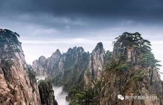 黄山明星网红是谁啊,探寻黄山山巅的网红风采