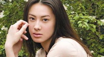 哪些明星网红在成都拍戏