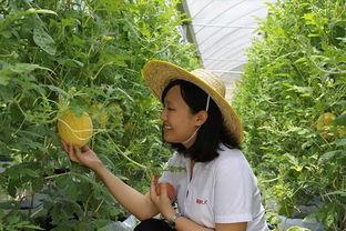 青州今日吃瓜,今日吃瓜指南