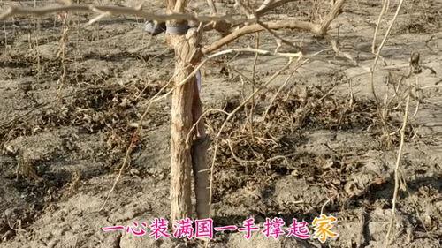 今日大美中国瓜州,大美中国下的丝路明珠