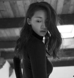 河南南阳有哪些明星网红