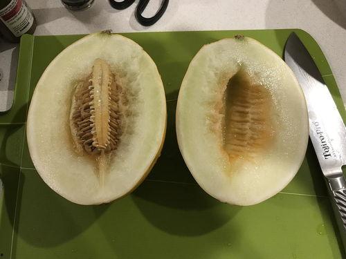 今日吃瓜是什么