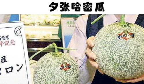 今日哈密瓜行情报价