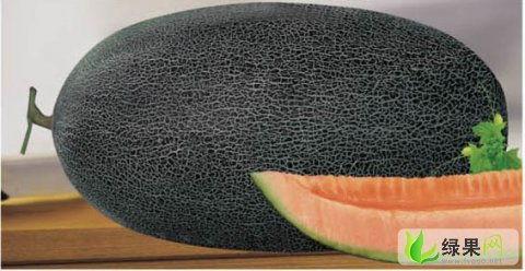 今日哈密瓜行情报价