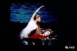 合肥明星网红演出有哪些,合肥网红明星演唱会精彩纷呈