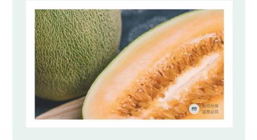 今日万邦海南蜜瓜价格,甜蜜来袭，品质之选