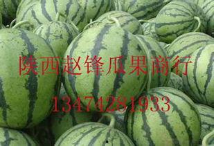 哈密瓜今日批发价格查询,市场行情实时更新”