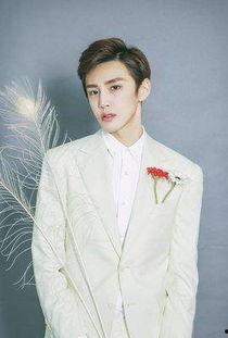 明星网红怎么都来潍坊发展,明星网红聚集地，魅力城市新风尚