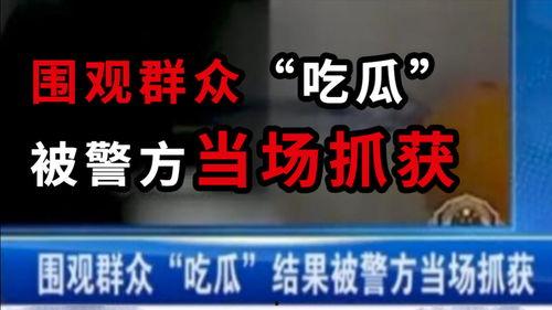 成都今日吃瓜爆料新闻,揭秘网红餐厅风波背后的真相