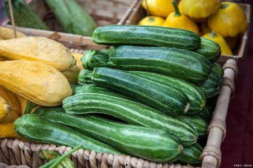 今日寿光吊瓜价格,品质佳、价格稳，市场反响热烈”