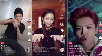 很多明星网红的视频素材,明星网红视频素材背后的精彩瞬间集锦