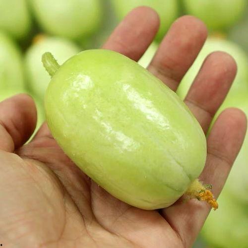 山东今日小瓜价格表,市场行情一览