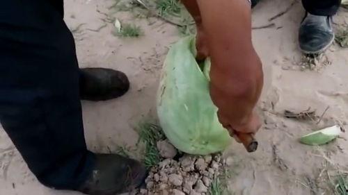 黑瓜吃料打开,揭秘美食背后的故事与魅力