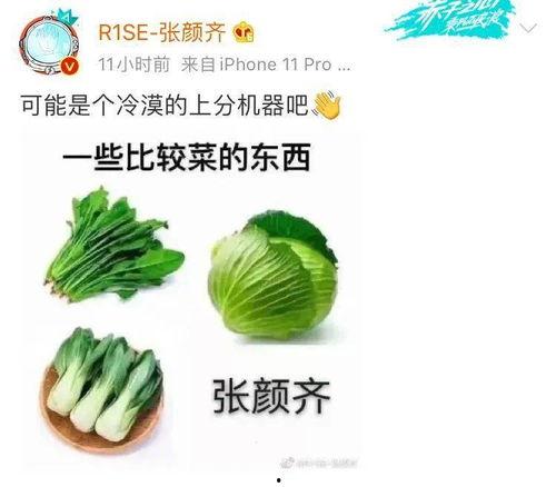 今日热瓜 吃瓜 每日更新下一句,每日吃瓜，揭秘娱乐圈最新动态