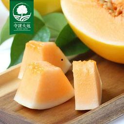 今日蜜瓜报价最新价格,新鲜采摘，价格走俏！