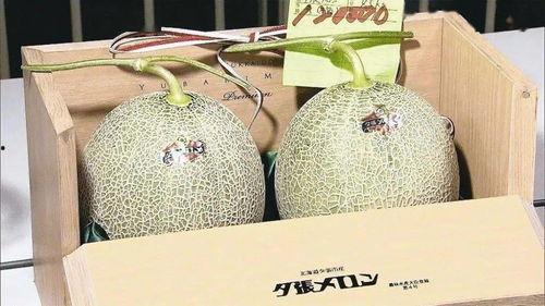 今日蜜瓜报价最新价格,新鲜采摘，价格走俏！