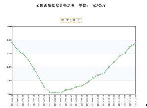 小盘瓜今日价格行情走势,今日行情走势解析