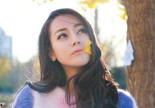 带缘字的明星网红,揭秘带“缘”明星网红的崛起之路”