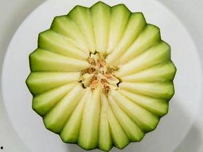 南宁今日网纹瓜价钱,价格波动，市场动态一览”