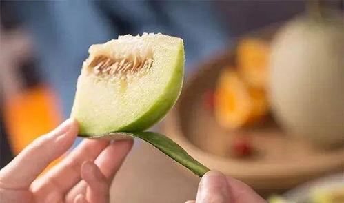 南宁今日网纹瓜价钱,价格波动，市场动态一览”