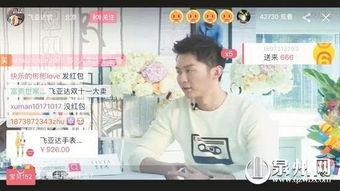 网络新热点明星网红,明星网红新势力崛起解析