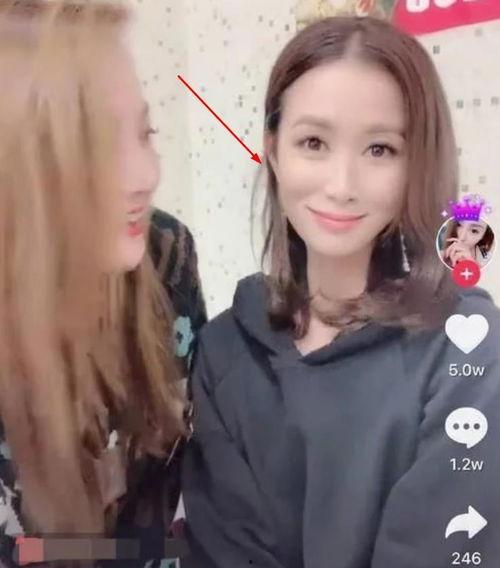 杭州明星网红活动在哪里,杭州网红明星活动盛地揭晓