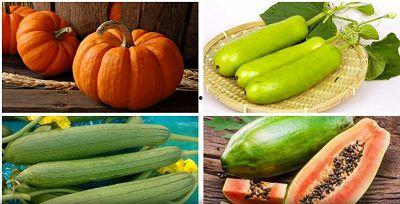 今日宜无忧瓜,夏日消暑新宠，轻松享受健康生活