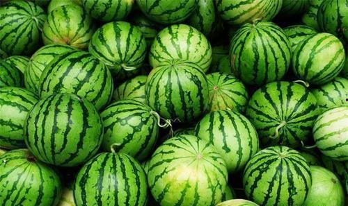 今日还有瓜吃吗,揭秘今日热门话题与新鲜资讯